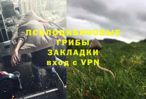 марки nbome Дмитриев