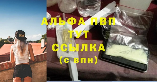 прущие крисы Гусев