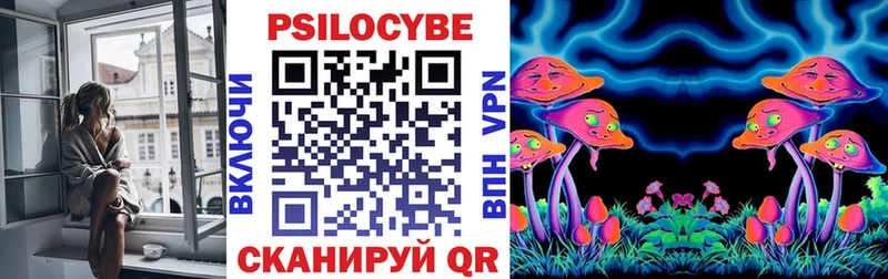 Псилоцибиновые грибы мухоморы  Купить закладки  Краснозаводск 